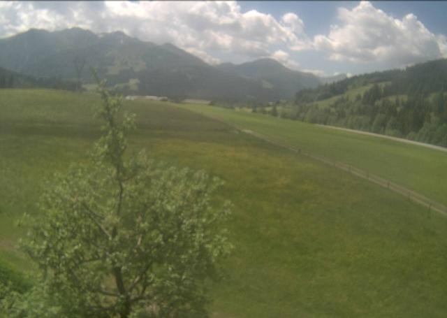 Archived image Webcam Hochfilzen, Tyrol