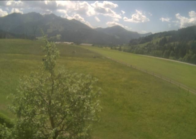 Archived image Webcam Hochfilzen, Tyrol
