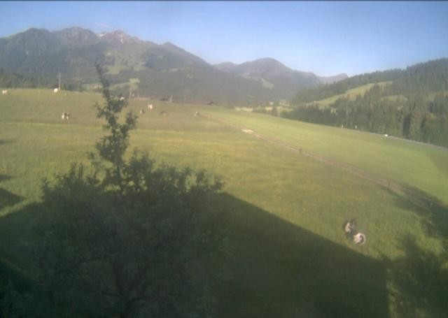 Archiv Foto Webcam Hochfilzen, Tirol