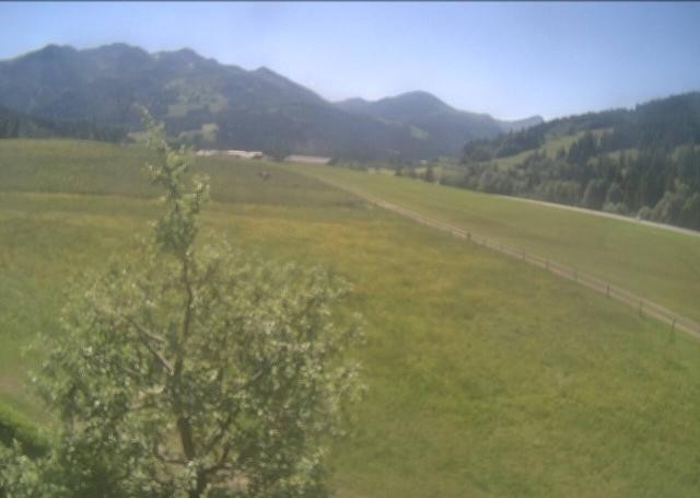 Archiv Foto Webcam Hochfilzen, Tirol