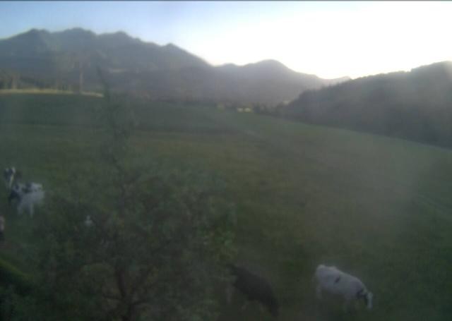 Archiv Foto Webcam Hochfilzen, Tirol