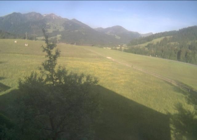 Archiv Foto Webcam Hochfilzen, Tirol