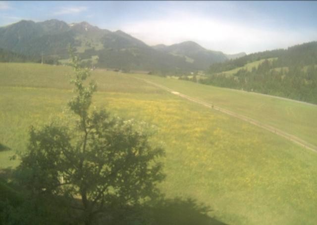 Archiv Foto Webcam Hochfilzen, Tirol