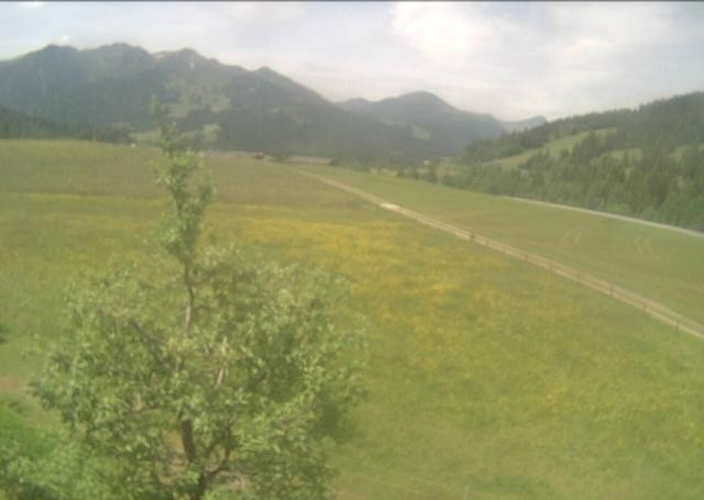 Archiv Foto Webcam Hochfilzen, Tirol