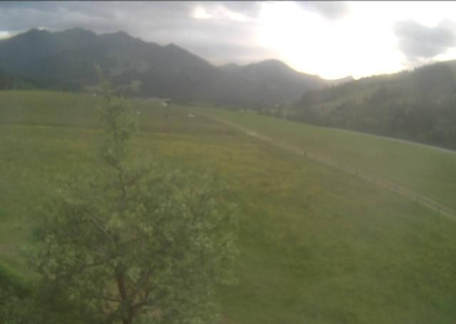 Archiv Foto Webcam Hochfilzen, Tirol