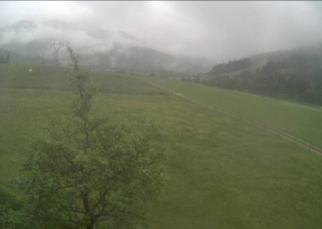 Archived image Webcam Hochfilzen, Tyrol