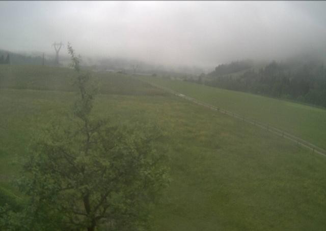 Archived image Webcam Hochfilzen, Tyrol