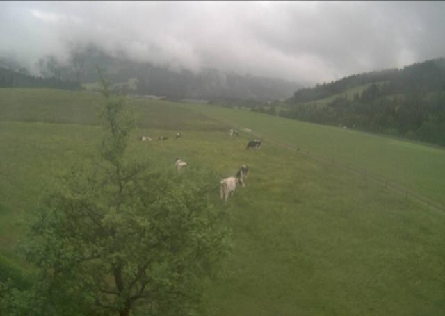 Archived image Webcam Hochfilzen, Tyrol