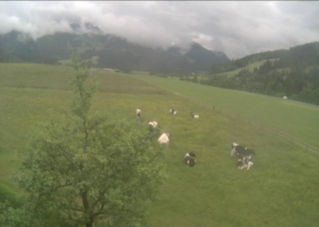 Archiv Foto Webcam Hochfilzen, Tirol