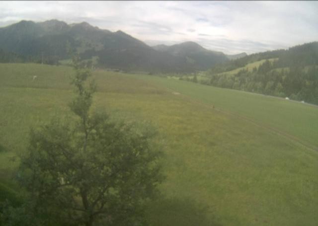 Archiv Foto Webcam Hochfilzen, Tirol