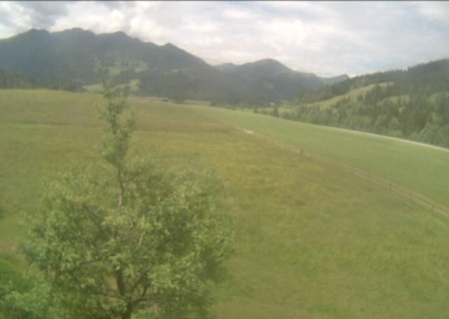 Archiv Foto Webcam Hochfilzen, Tirol