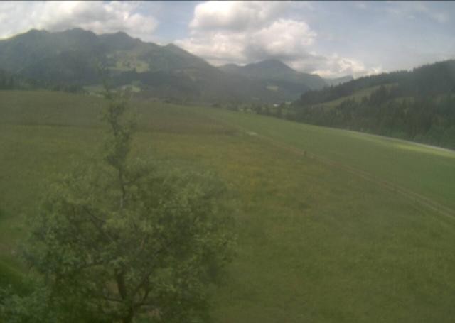 Archiv Foto Webcam Hochfilzen, Tirol