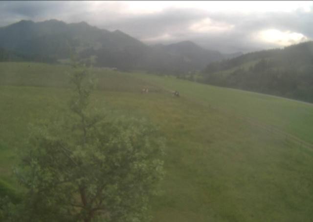 Archiv Foto Webcam Hochfilzen, Tirol