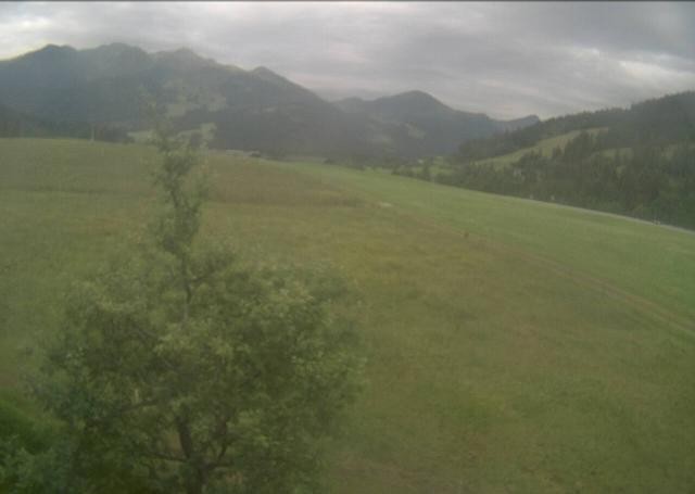 Archiv Foto Webcam Hochfilzen, Tirol