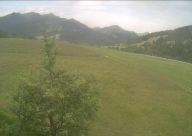 Archived image Webcam Hochfilzen, Tyrol