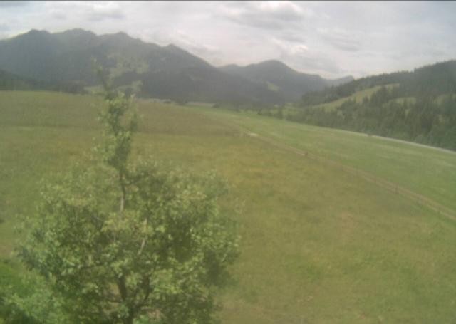 Archived image Webcam Hochfilzen, Tyrol