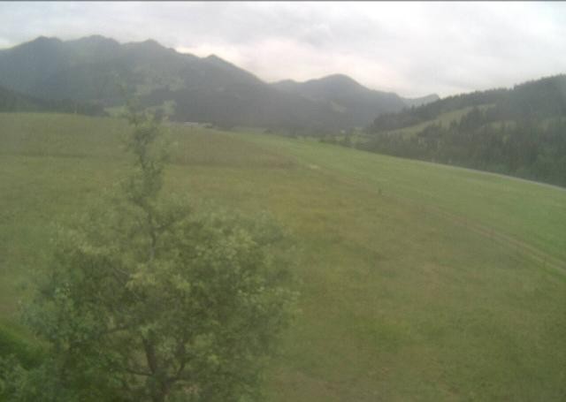 Archived image Webcam Hochfilzen, Tyrol