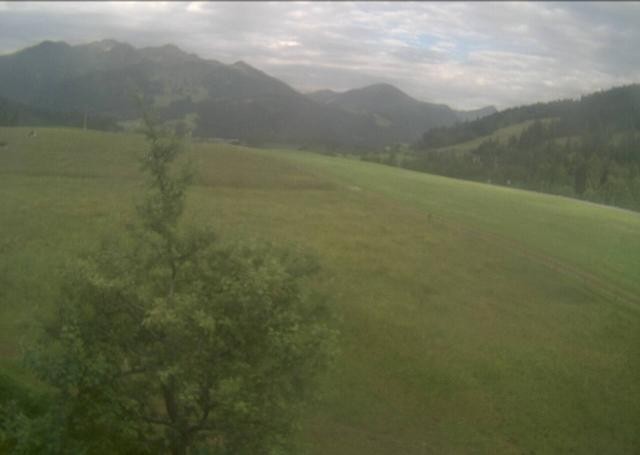 Archiv Foto Webcam Hochfilzen, Tirol