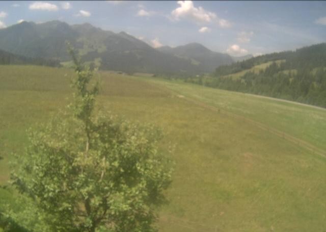 Archiv Foto Webcam Hochfilzen, Tirol