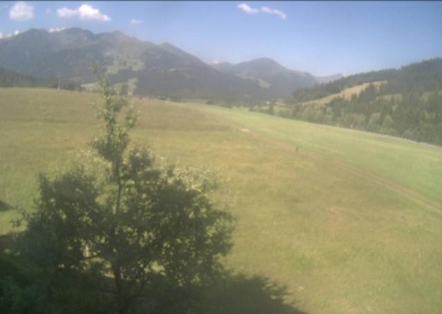 Archiv Foto Webcam Hochfilzen, Tirol