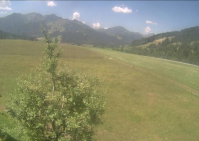 Archiv Foto Webcam Hochfilzen, Tirol
