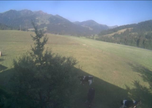 Archiv Foto Webcam Hochfilzen, Tirol