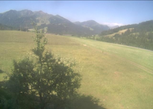Archived image Webcam Hochfilzen, Tyrol