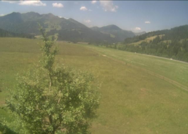 Archived image Webcam Hochfilzen, Tyrol