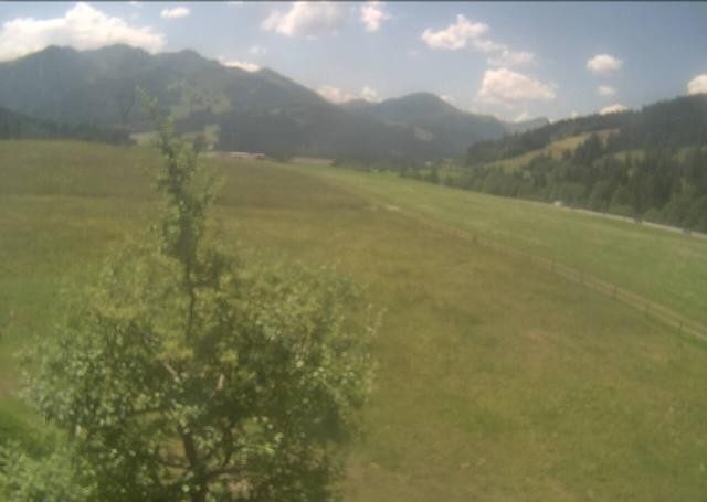 Archiv Foto Webcam Hochfilzen, Tirol