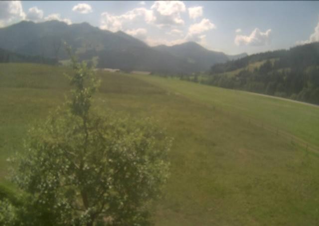 Archiv Foto Webcam Hochfilzen, Tirol