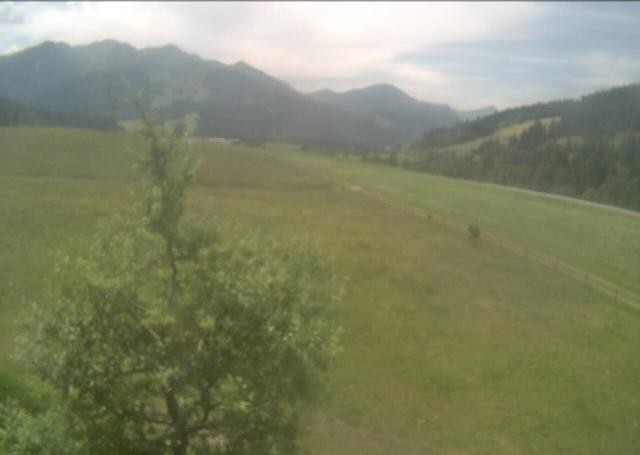 Archived image Webcam Hochfilzen, Tyrol