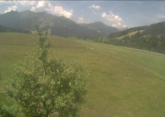 Archiv Foto Webcam Hochfilzen, Tirol