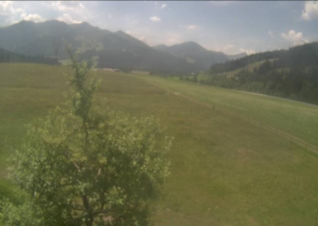 Archiv Foto Webcam Hochfilzen, Tirol