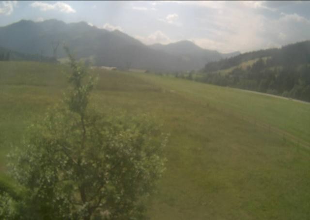 Archiv Foto Webcam Hochfilzen, Tirol