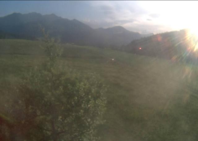 Archiv Foto Webcam Hochfilzen, Tirol