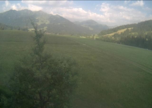 Archiv Foto Webcam Hochfilzen, Tirol