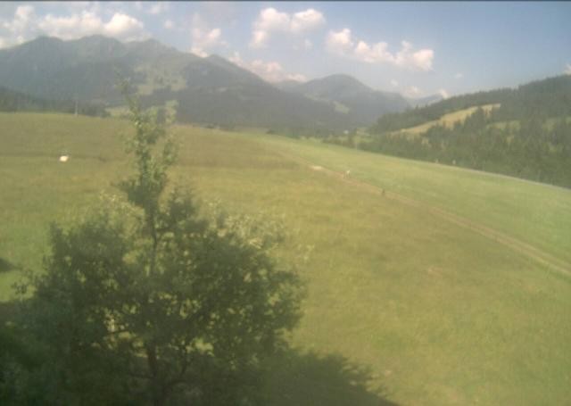 Archiv Foto Webcam Hochfilzen, Tirol