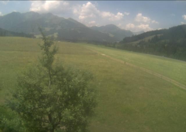 Archiv Foto Webcam Hochfilzen, Tirol