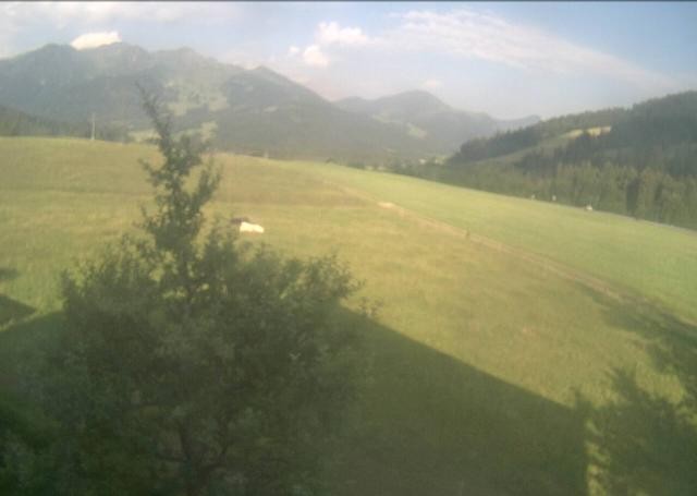 Archiv Foto Webcam Hochfilzen, Tirol