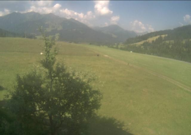 Archiv Foto Webcam Hochfilzen, Tirol