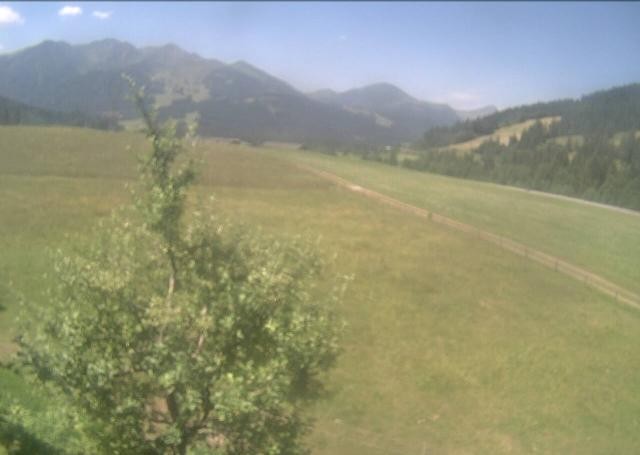 Archived image Webcam Hochfilzen, Tyrol