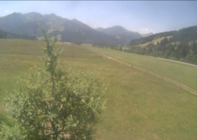 Archived image Webcam Hochfilzen, Tyrol