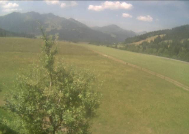 Archiv Foto Webcam Hochfilzen, Tirol