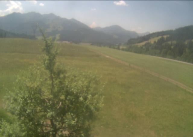Archiv Foto Webcam Hochfilzen, Tirol