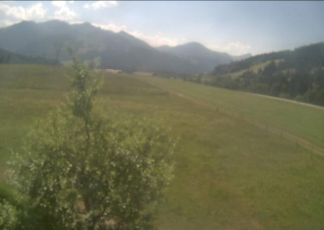 Archiv Foto Webcam Hochfilzen, Tirol
