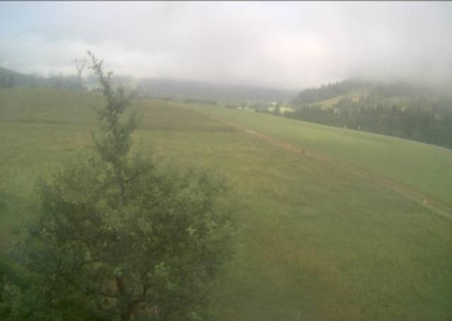Archiv Foto Webcam Hochfilzen, Tirol