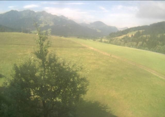 Archiv Foto Webcam Hochfilzen, Tirol