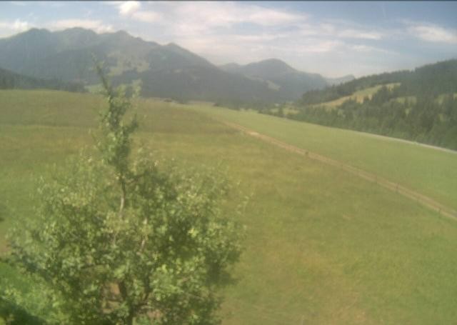 Archiv Foto Webcam Hochfilzen, Tirol