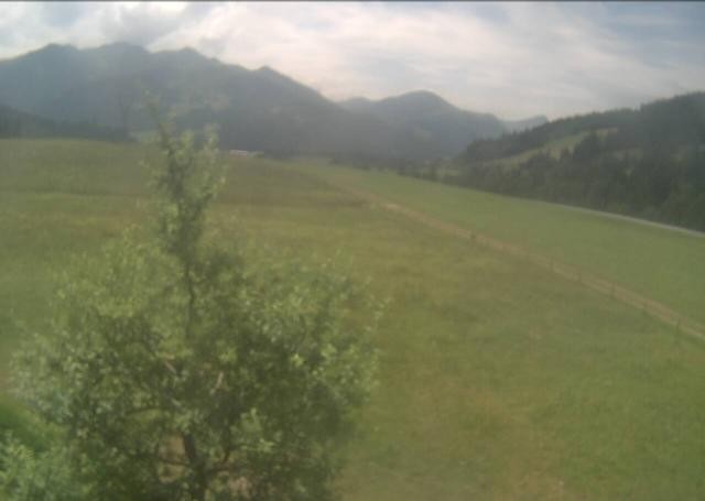 Archiv Foto Webcam Hochfilzen, Tirol