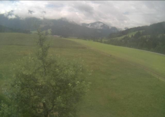 Archiv Foto Webcam Hochfilzen, Tirol